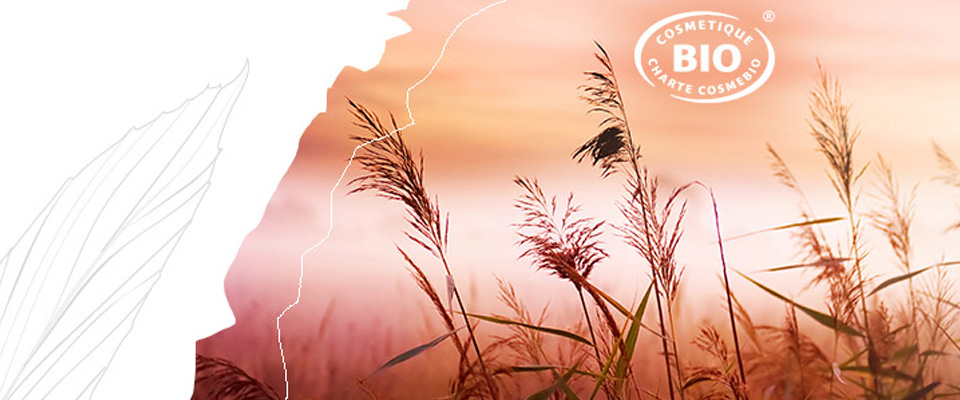 naturalne-i-ekologiczne-kosmetyki-do-makijazu-twarzy-couleur-caramel